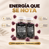 Shilajit Gomitas