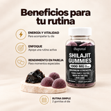 Shilajit Gomitas
